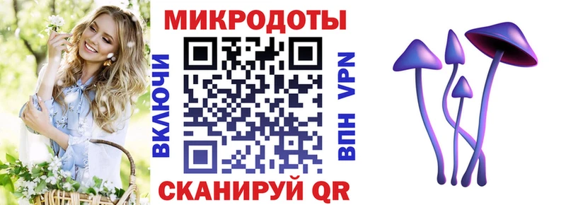 Галлюциногенные грибы GOLDEN TEACHER  сколько стоит  Медвежьегорск 